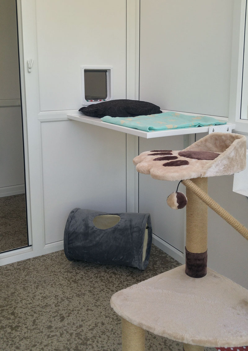 Inside one of the heated cattery pens