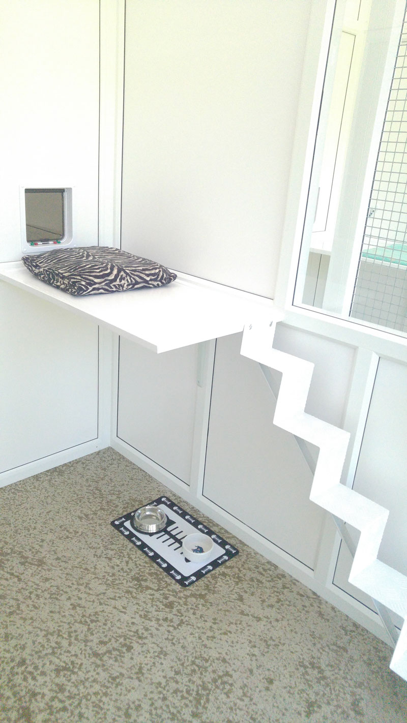 Inside the heated cattery pens
